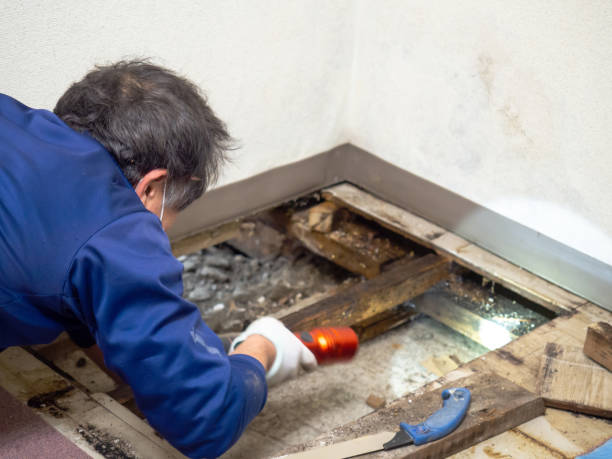 Best Mold Removal Near Me  in Garrett, WA