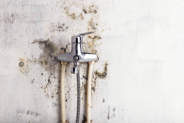 Reliable Garrett, WA Mold Removal Solutions