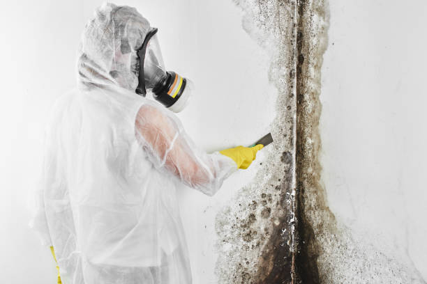 Crawl Space Mold Removal in Garrett, WA