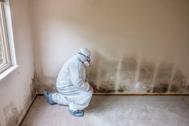 Best Home Mold Removal  in Garrett, WA