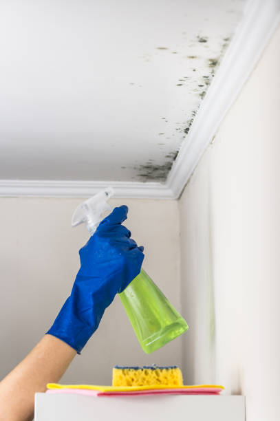 Best Mold Remediation  in Garrett, WA